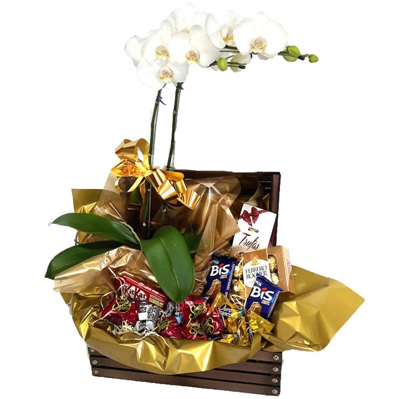 Arranjo de Orquídea Phalaenopsis com Chocolates no Baú de Madeira